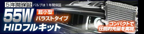 HID LS2　55W