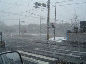 三重県が雪