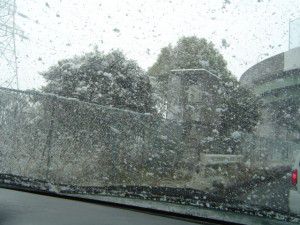 雪まみれのオービス